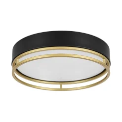 Black Gold Metal Round Dimmable LED Flush Mount Light 5CCT