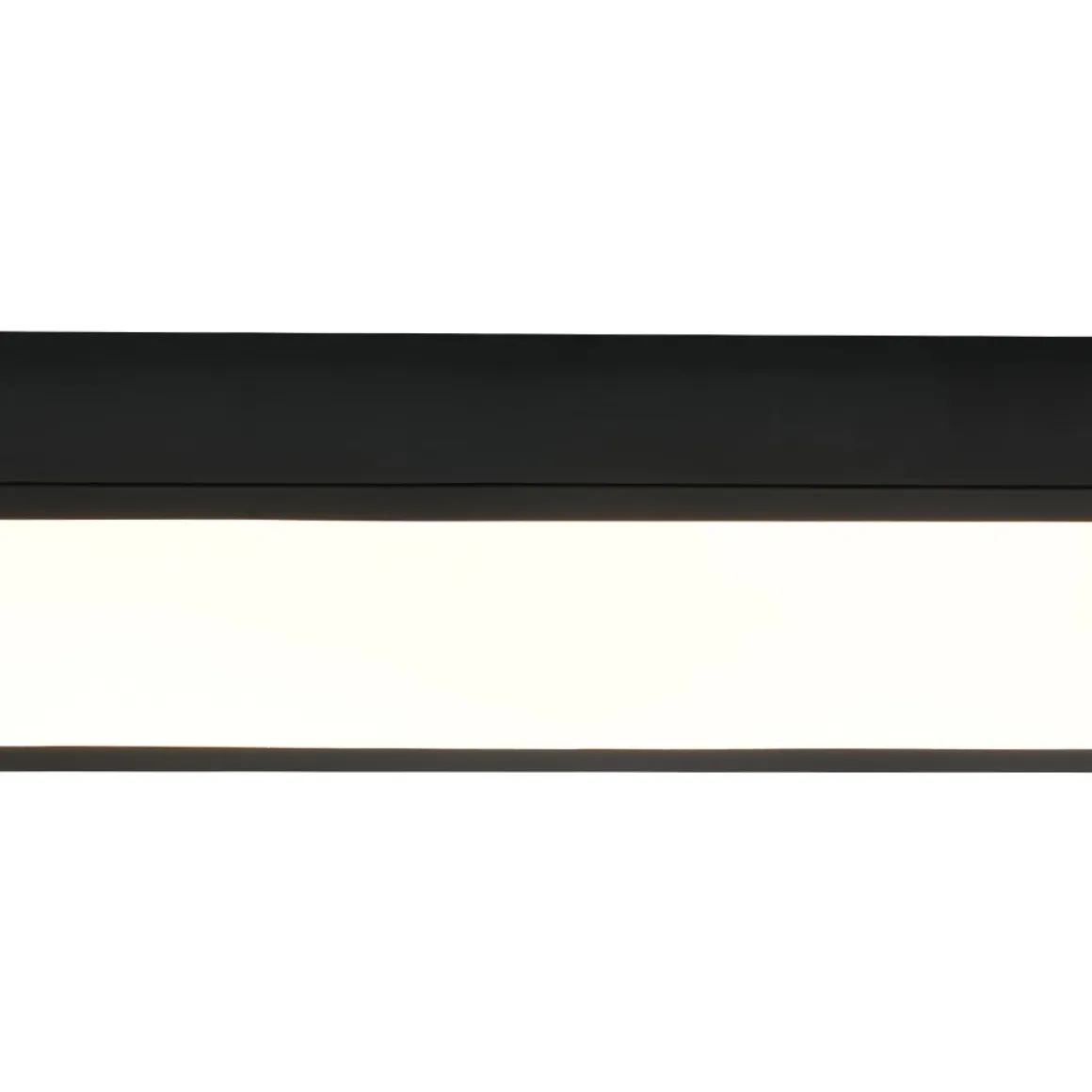 Black Minimalist Oval Dimmable LED Flush Mount Light