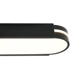 Black Minimalist Oval Dimmable LED Flush Mount Light
