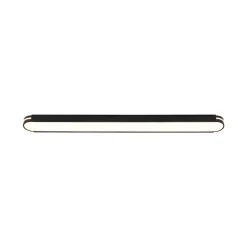 Black Minimalist Oval Dimmable LED Flush Mount Light