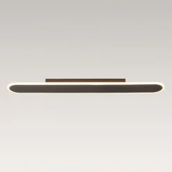 Contemporary Long Oval Warm Dimmable LED Ceiling Light