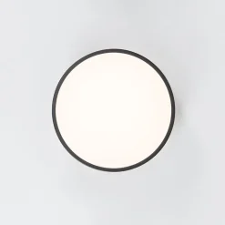 Contemporary Wood Round Dimmable LED Ceiling Light
