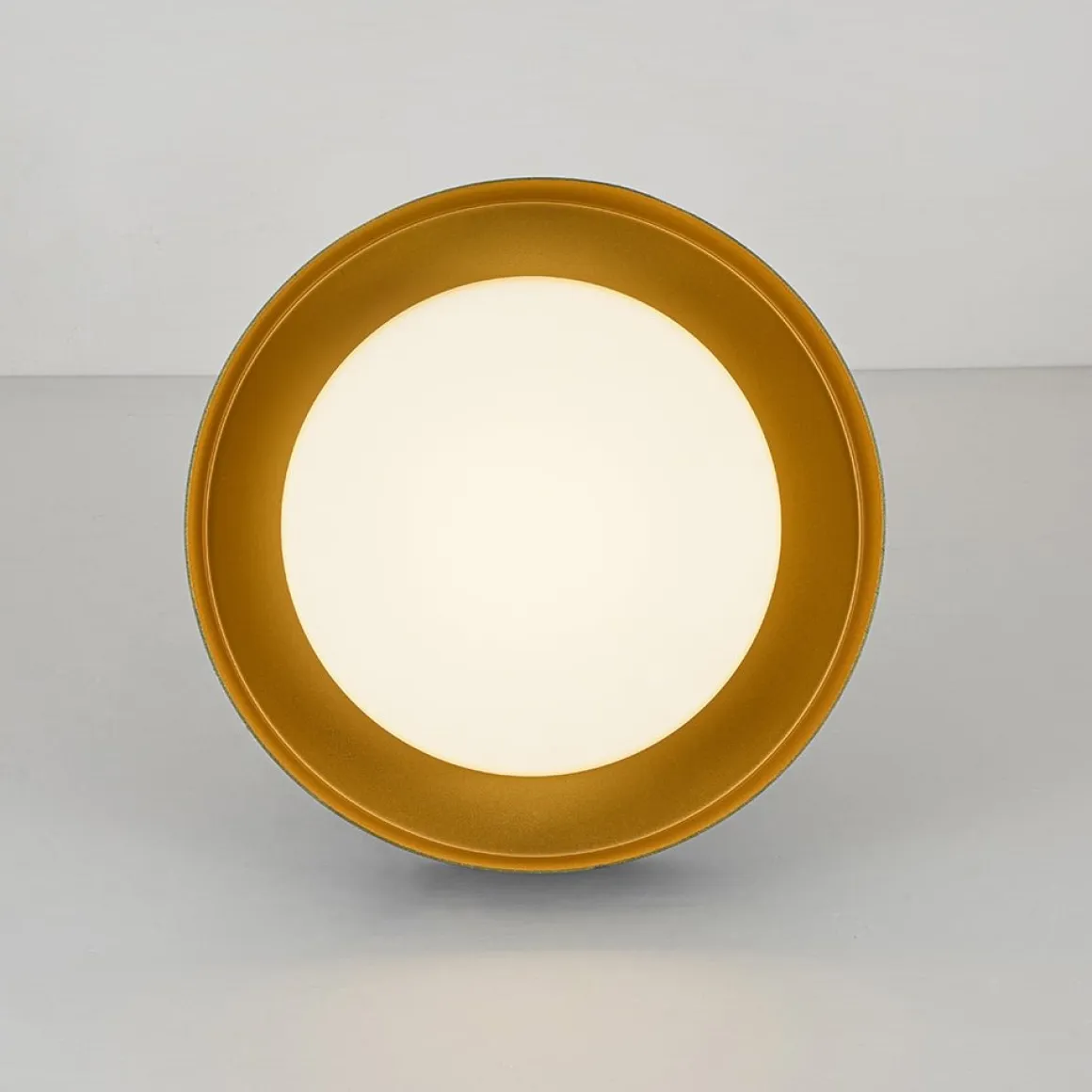 Dimmable LED Black Gold Iron Milky Glass Drum Flush Mount