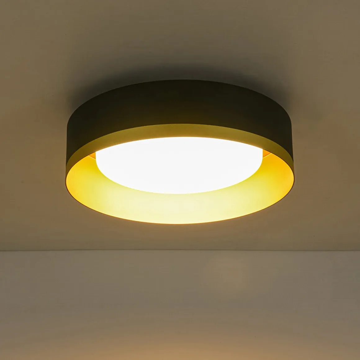 Dimmable LED Black Gold Iron Milky Glass Drum Flush Mount