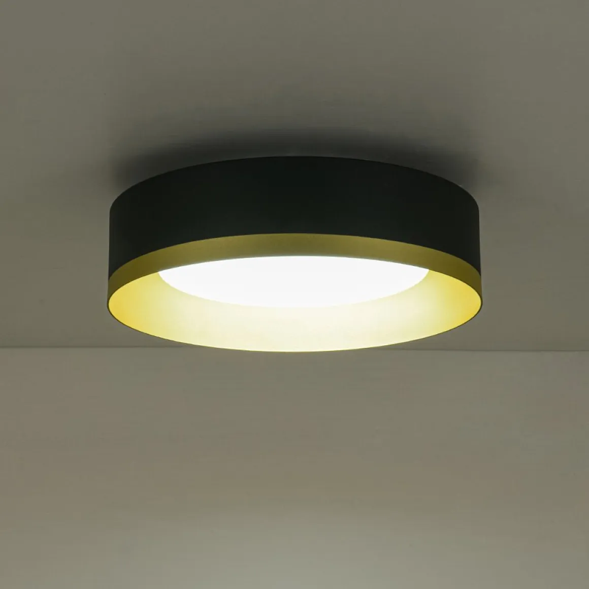 Dimmable LED Black Gold Iron Milky Glass Drum Flush Mount