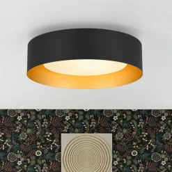 Dimmable LED Black Iron Milky Glass Round Drum Ceiling Light