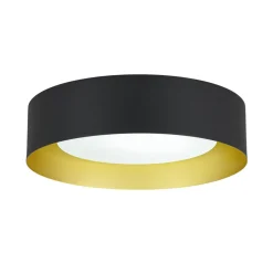 Dimmable LED Black Iron Milky Glass Round Drum Ceiling Light