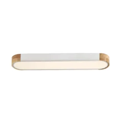 Dimmable Minimalist Long Oval Flush Mount LED Light