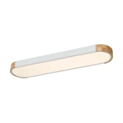 Dimmable Minimalist Long Oval Flush Mount LED Light