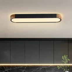 Dimmable Minimalist Long Oval Flush Mount LED Light
