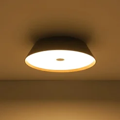 Farmhouse Wood Grain Dimmable LED Round Flush Mount Light