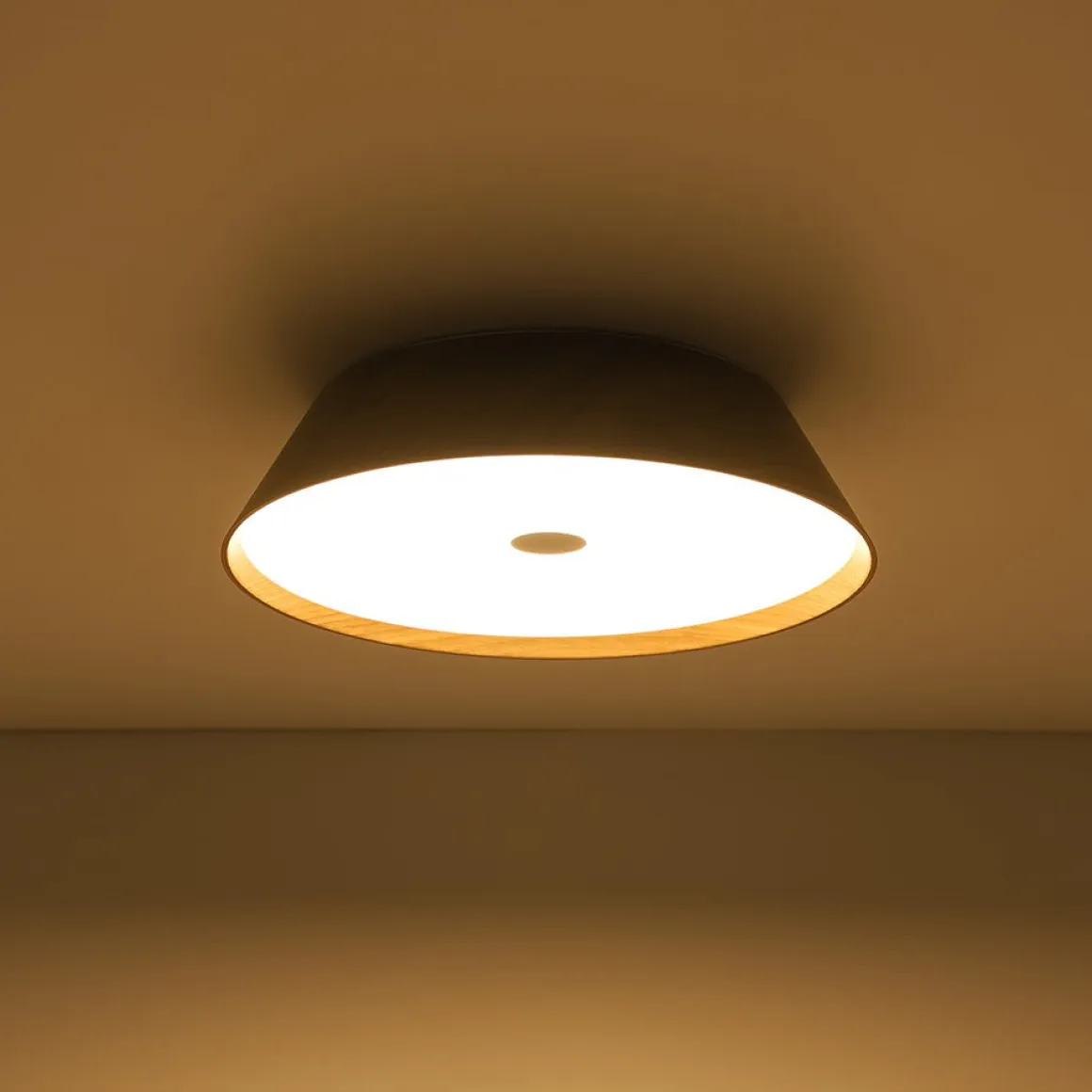 Farmhouse Wood Grain Dimmable LED Round Flush Mount Light