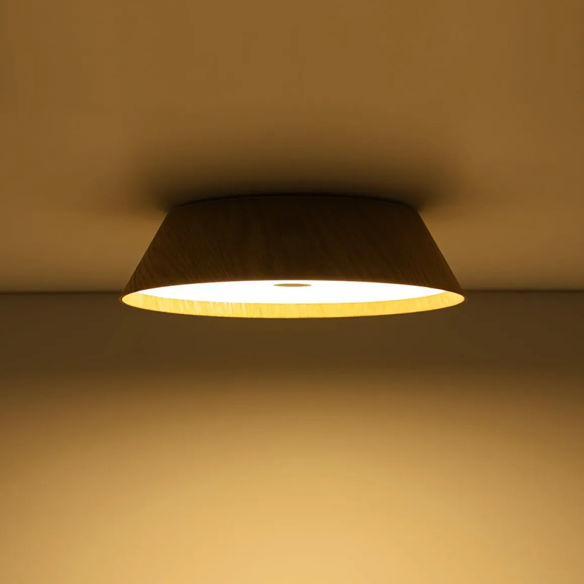 Farmhouse Wood Grain Dimmable LED Round Flush Mount Light