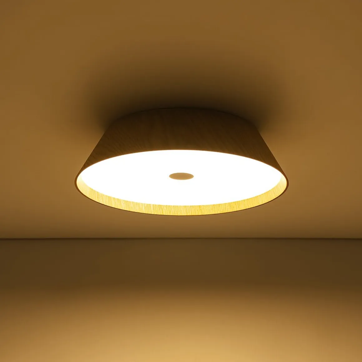 Farmhouse Wood Grain Dimmable LED Round Flush Mount Light