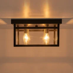 4-Light Clear Glass Black Square Cage Flush Mount Ceiling Light