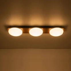 3-Light Dimmable LED Rustic Linear Flush Mount Light