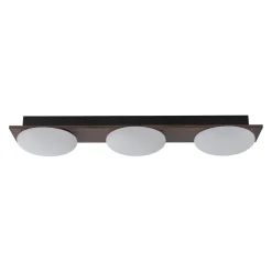 3-Light Dimmable LED Rustic Linear Flush Mount Light