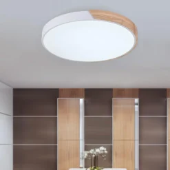 Minimalist LED Flush Mount Drum Light