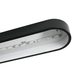 Minimalist Long Oval Dimmable LED Flush Mount Ceiling Light