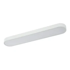 Minimalist Long Oval Dimmable LED Flush Mount Ceiling Light