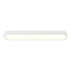 Minimalist Long Oval Dimmable LED Flush Mount Ceiling Light
