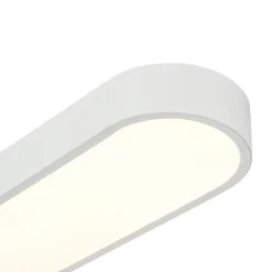 Minimalist Long Oval Dimmable LED Flush Mount Ceiling Light