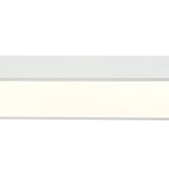 Minimalist Long Oval Dimmable LED Flush Mount Ceiling Light