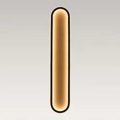 Minimalist Streamlined Oval Warm LED Ceiling Light