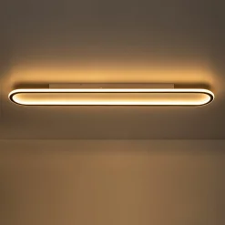 Minimalist Streamlined Oval Warm LED Ceiling Light