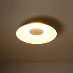Minimalist Wide Flat Dome Dimmable LED Ceiling Light