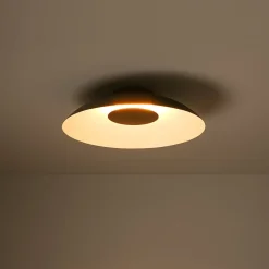 Minimalist Wide Flat Dome Dimmable LED Ceiling Light