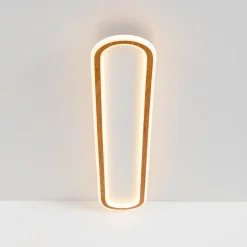 Minimalist Wood Grain Dimmable LED Oval Ring Ceiling Light