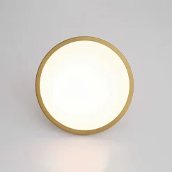Modern Simple Brass Round Dimmable LED Semi Flush Mount
