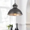 (OpenBox) Industrial Single Pot Lid Dome Pendant