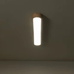 (OpenBox) Natural Wood Long Oval Dimmable LED Flush Mount