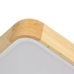 (OpenBox) Rectangle LED Flush Mount Light