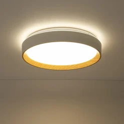 Scandinavian 5CCT Dimmable LED Round Flush Mount Light