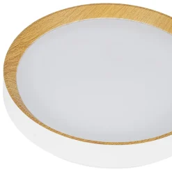 Scandinavian 5CCT Dimmable LED Round Flush Mount Light