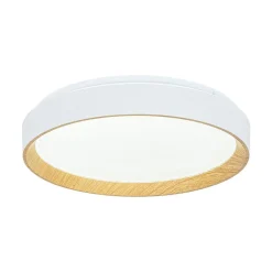 Scandinavian 5CCT Dimmable LED Round Flush Mount Light