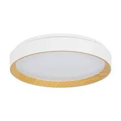 Scandinavian 5CCT Dimmable LED Round Flush Mount Light