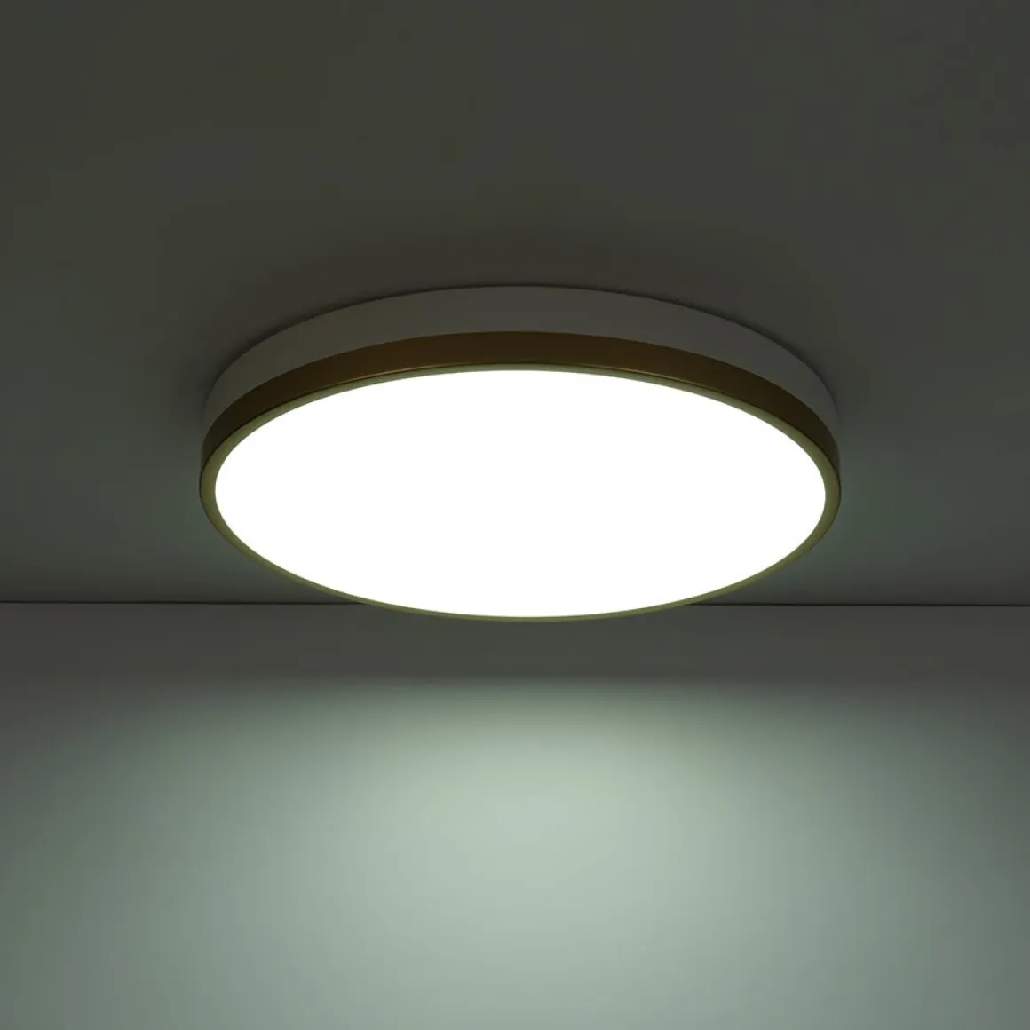 Scandinavian Round Dimmable LED Ceiling Light DIP Switch