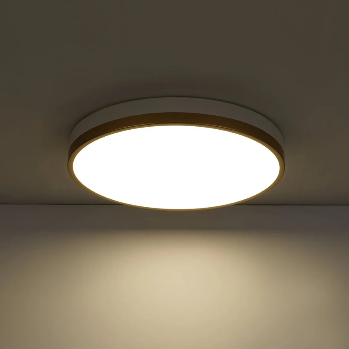 Scandinavian Round Dimmable LED Ceiling Light DIP Switch