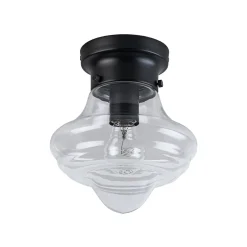 Schoolhouse 1-light Round Clear Glass Shade Semi Flush Mount