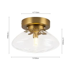 Versatile 1-Light Water Glass Oval Globe Semi Flush Wall Lamp