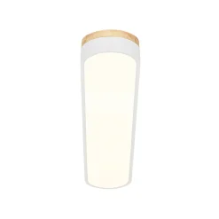Wood Accent Oval Dimmable LED Flush Mount Ceiling Light