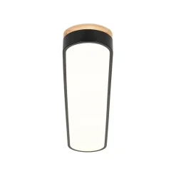 Wood Accent Oval Dimmable LED Flush Mount Ceiling Light